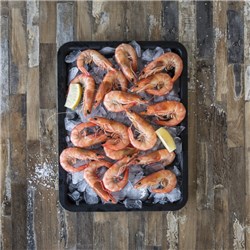 Mooloolaba King Prawn Cooked on ice